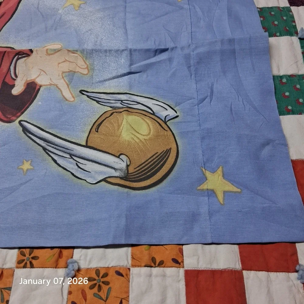 Vintage Harry Potter and The‎ Golden Snitch Quidditch Pillow Case Book Series